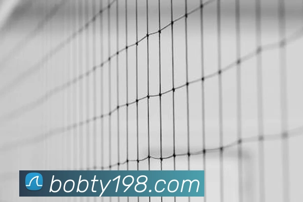 半岛· bob综合体育官方网站APP 体育赛事宣传图